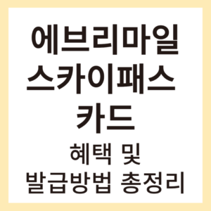 에브리마일스카이패스  이미지