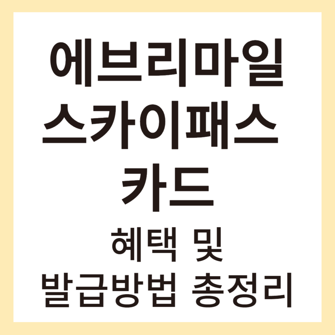 에브리마일스카이패스 이미지